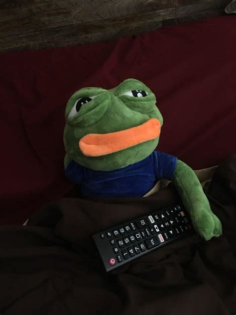 My pepe plushie has finally arrived : r/pepethefrog