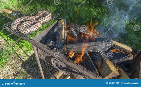 Tasty Homemade Sausage Made of Beaver Meat Cooking on Grill. Beaver ...