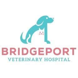 Bridgeport Veterinary Hospital | Bridgeport PA