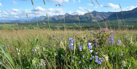 BENEFITS OF A HEALTHY WATERSHED — Oldman Watershed Council