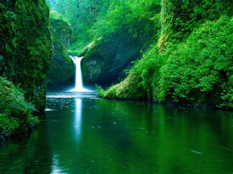 Nature Waterfall Nature Windows 10 Wallpaper 4K / Jungle River Windows ...