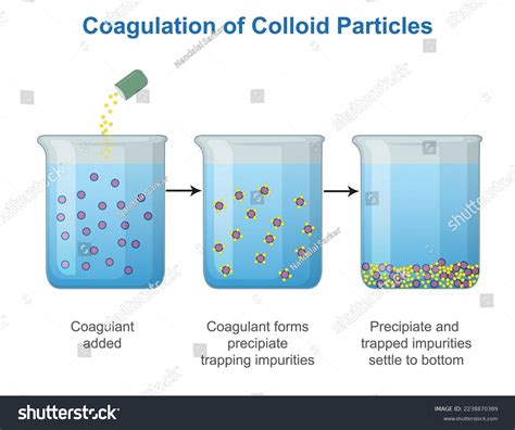 Colloid Examples Chemistry