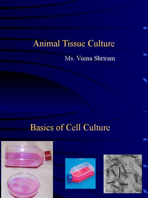 Animal tissue culture | Cell Culture | Growth Medium