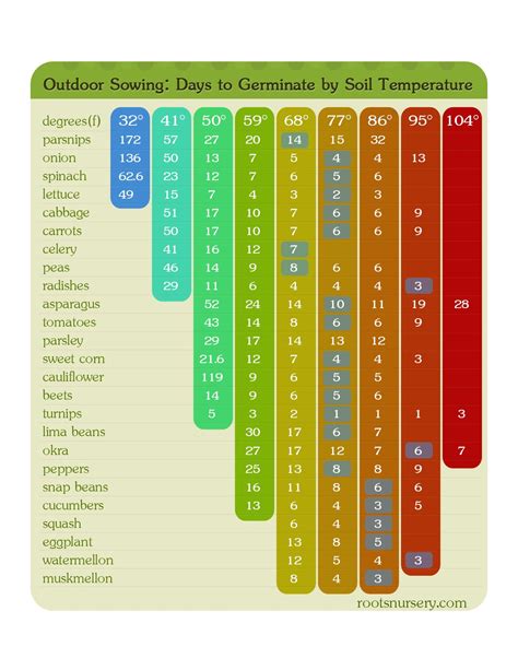 Seed Germination Times For Vegetables