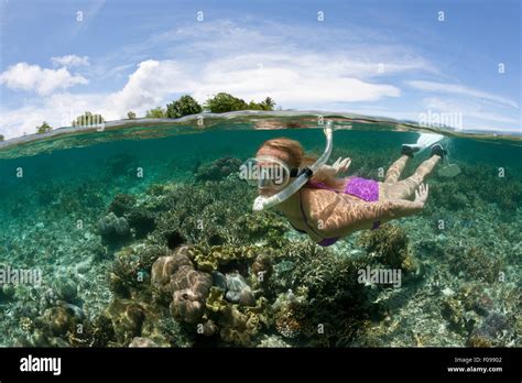 Snorkeling at Solomon Islands, Florida Islands, Solomon Islands Stock Photo - Alamy