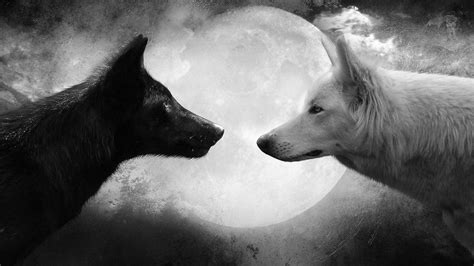 Wolf Black and White Wallpapers - Top Free Wolf Black and White ...