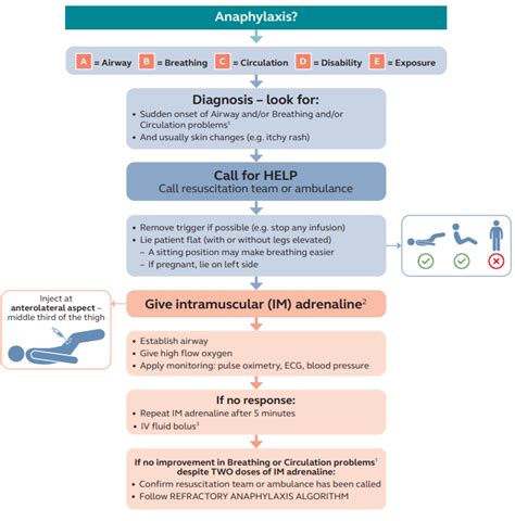 Treatment Guideline for Anaphylactic Shock 8 | Download Scientific Diagram