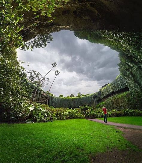 Umpherston Sinkhole. Mt Gambier | Australian road trip, Australia ...