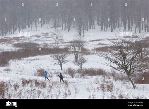 Canaan valley skiing hi-res stock photography and images - Alamy