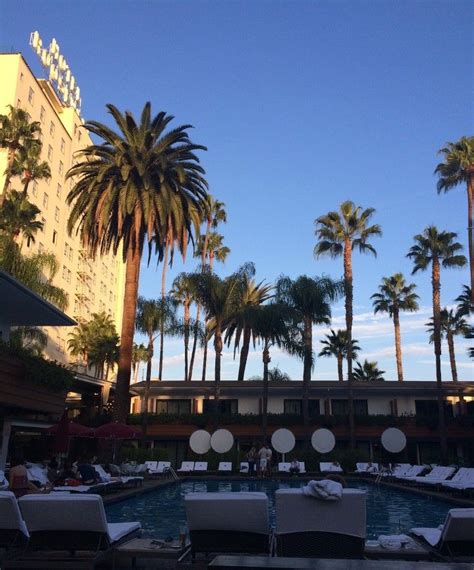 Hollywood | Hotel pool, Playing tourist, Roosevelt hotel