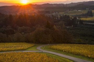 An Oregon Wine Tasting and the Lure of a New Road - Fermentation