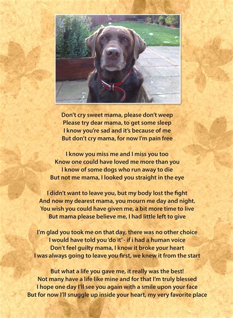 A Dog's Plea Poem Printable