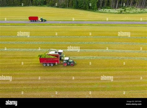 Forage harvester and tractor harvesting crops Stock Photo - Alamy