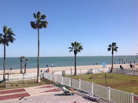 Sea Shell Inn Motel Beach: Pictures & Reviews - Tripadvisor