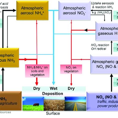 Illustration of the interaction between the various nitrogen oxide (NO... | Download Scientific ...