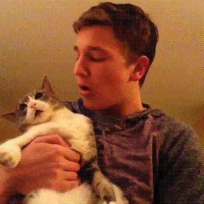 Cat Kisses GIF - Find & Share on GIPHY