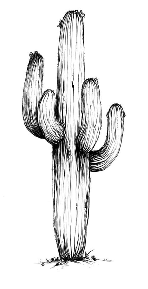 Pin by Maya Clark on draw this | Desert art, Art, Ink art