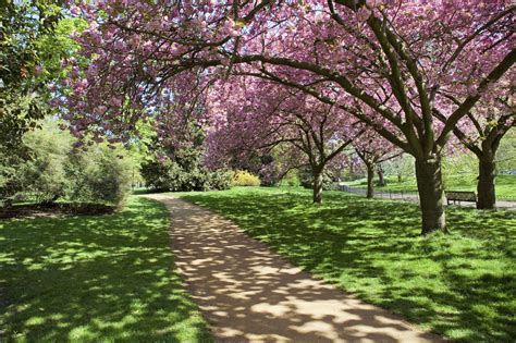 Throwback to Hyde Park in Spring. London In Spring, Spring Flowers ...