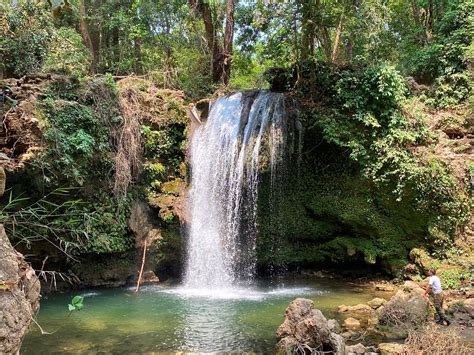 Jim Corbett National Park: Wildlife and Nature