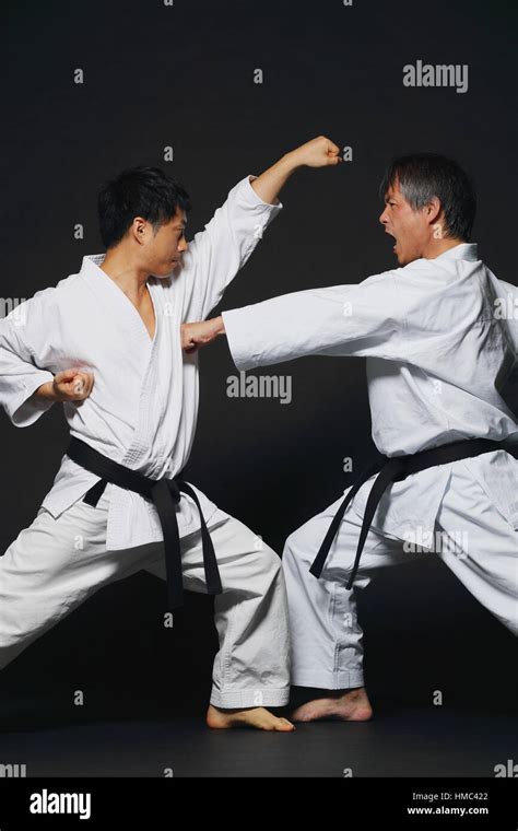 Japanese karate masters fighting Stock Photo - Alamy