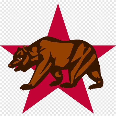 Grizzly Bear Flag