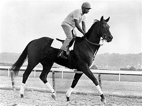 Ruffian (horse) - Alchetron, The Free Social Encyclopedia