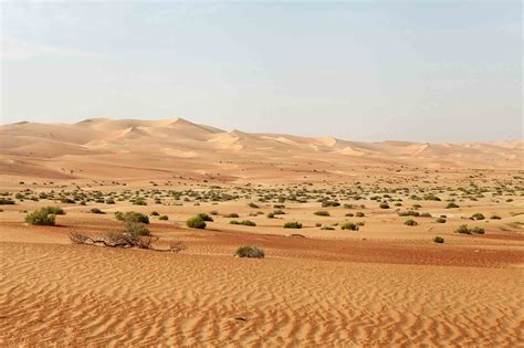 Best Camping Spots in the UAE - Dubai Desert Safari Tours