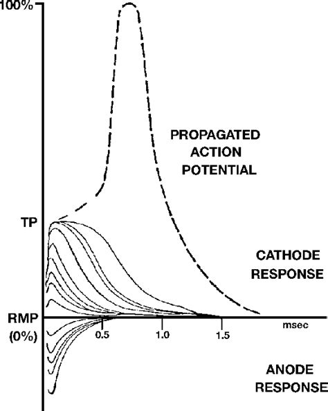 Figure 3 from Accuracy limitations of chronaxie values | Semantic Scholar