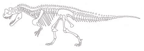 Ceratosaurus skeleton by SommoDracorex on DeviantArt