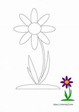 Single Flower Coloring Pages  2 Free Sheets 2021 sketch template