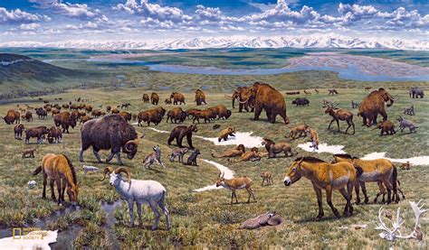 Illustration montrant la variété des espèces animales pendant la période glaciaire, créée par la ...