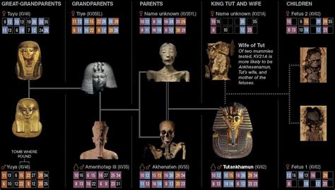 Egyptian Museum - King Tut's Family Tree . | Egypt history, Egyptian history, Ancient egypt