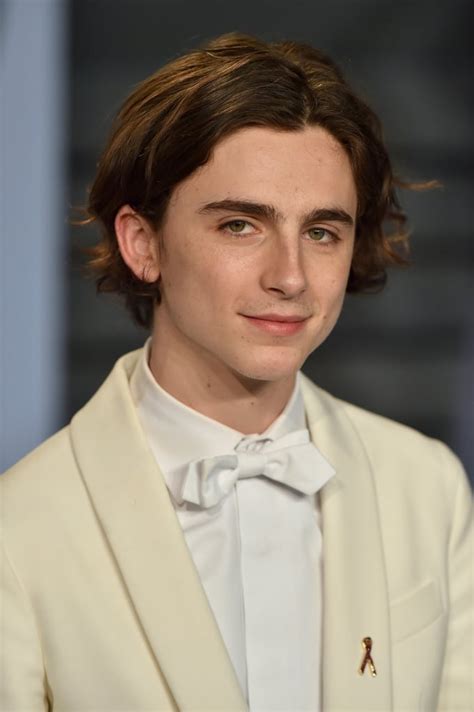 Timothée Chalamet as Laurie | Greta Gerwig's Little Women Movie Details ...