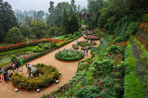 Ooty botanical garden editorial stock photo. Image of flower - 183395868