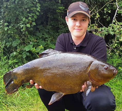 Big Tench Fishing: The Tale of a Tench of a Lifetime | BadAngling