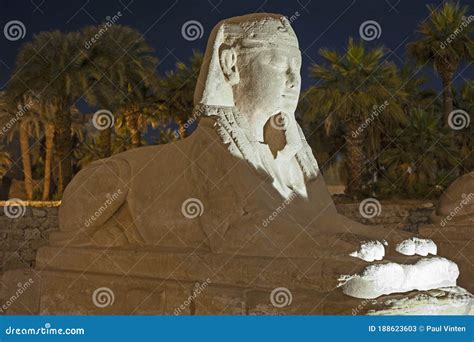 Avenue of Sphinx Statue at Luxor Temple during Night Stock Image - Image of head, history: 188623603