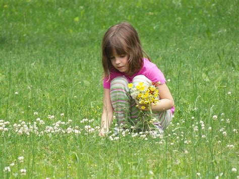 Picking Flowers Girl Child - Free photo on Pixabay - Pixabay