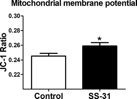 Figures and data in Late-life restoration of mitochondrial function reverses cardiac dysfunction ...