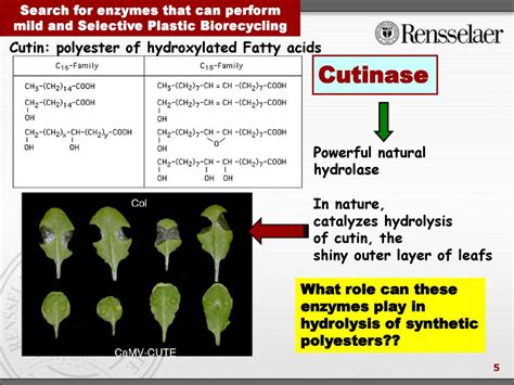 Biocatalytic Depolymerization of Plastics - ppt download