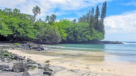 Puna Trail - Activities On Big Island Keaau, Hawaii