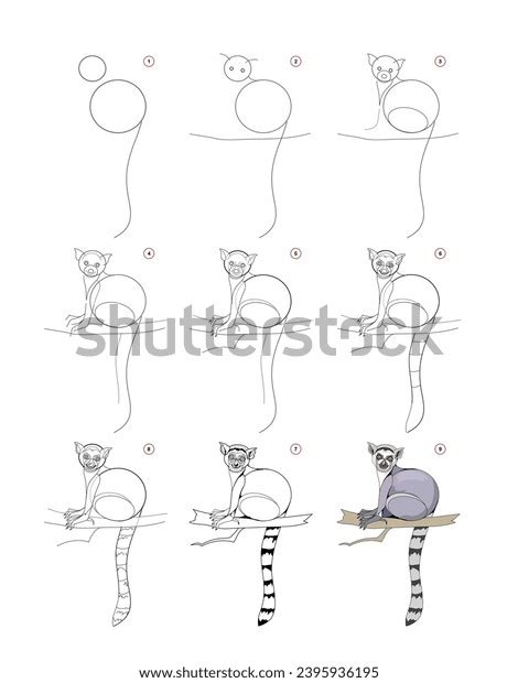 How Draw Cute Little Lemur Educational Stock Vector (Royalty Free) 2395936195 | Shutterstock