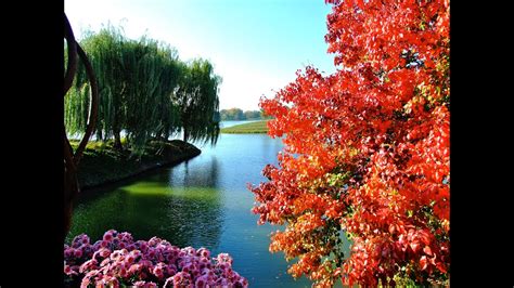 Chicago Botanic Garden - Fall - YouTube