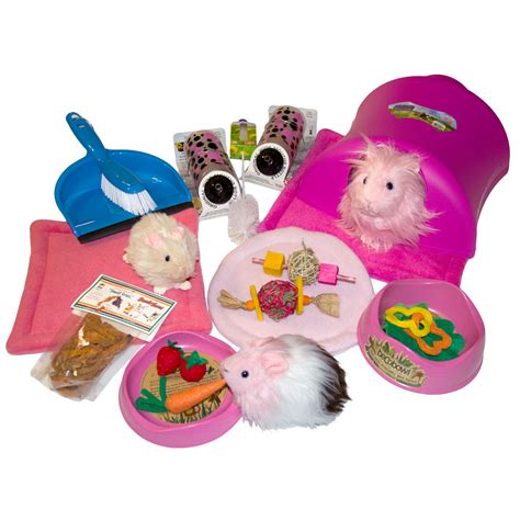 Everything you need for pampered guinea pigs.