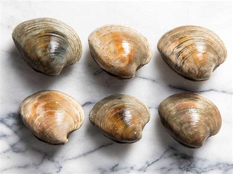 A Guide to Clam Types and What to Do With Them