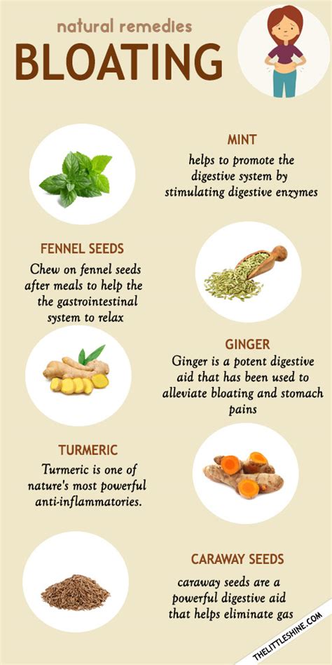 NATURAL REMEDIES FOR BLOATING - The Little Shine