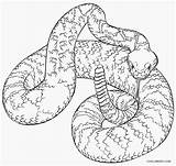 Rattlesnake Coloring Page sketch template