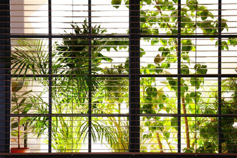 Window View Nature Images – Browse 310,906 Stock Photos, Vectors, and ...