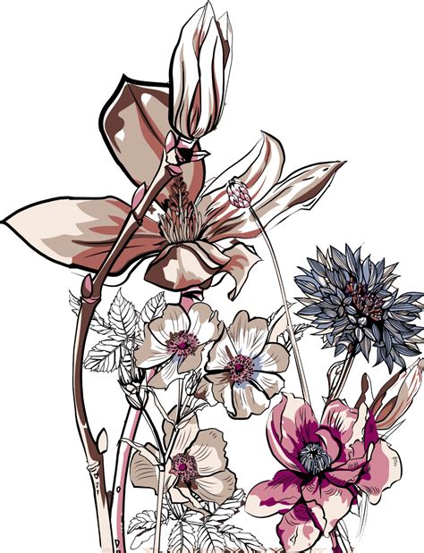 Pin by Heo Panda on hoa in 2023 | Botanical flower art, Flower drawing ...