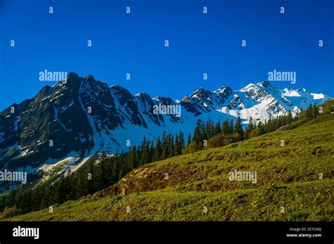 Landscape with trees. Beautiful camping site on Majestic Himalayan ...