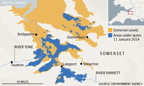 Seemorerocks: The Somerset Levels: Life after the floods